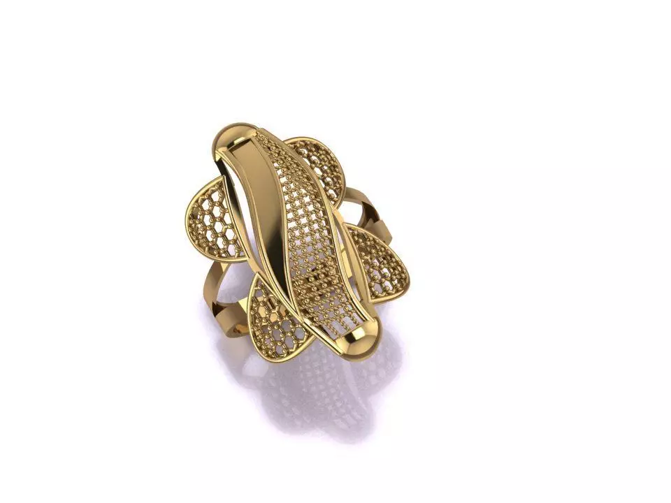 RING B204 3D print model_0