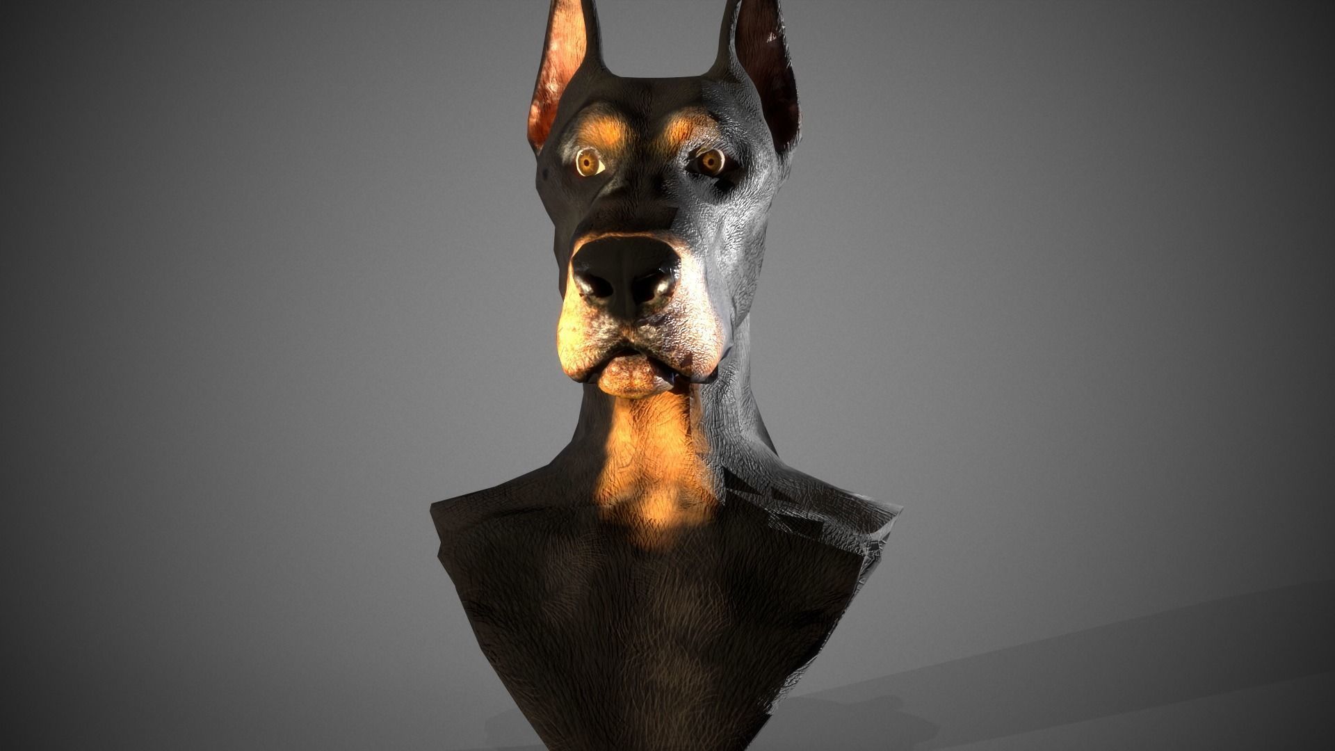 Dobermann Dog head Low-poly 3D model_9