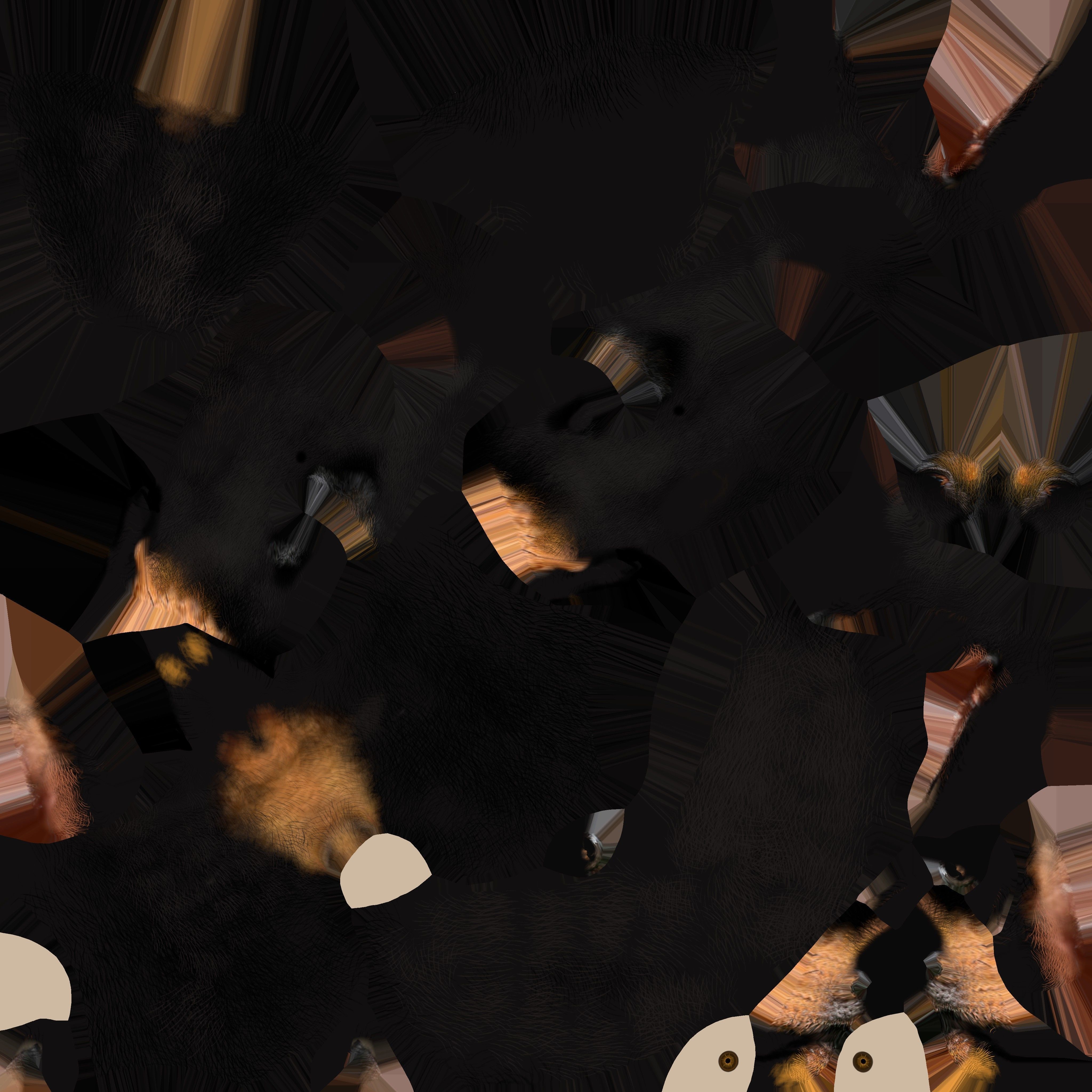 Dobermann Dog head Low-poly 3D model_3