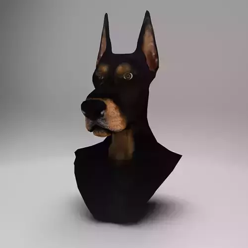Dobermann Dog head