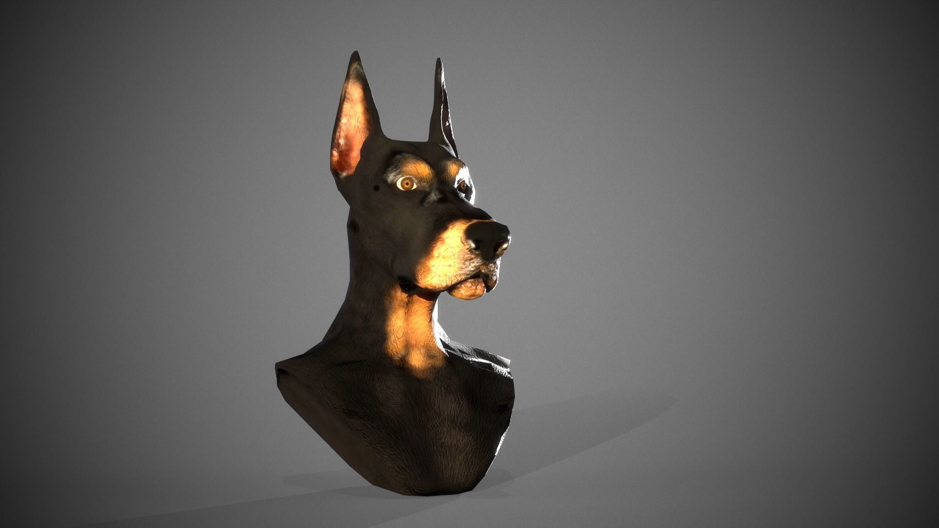 Dobermann Dog head Low-poly 3D model_10