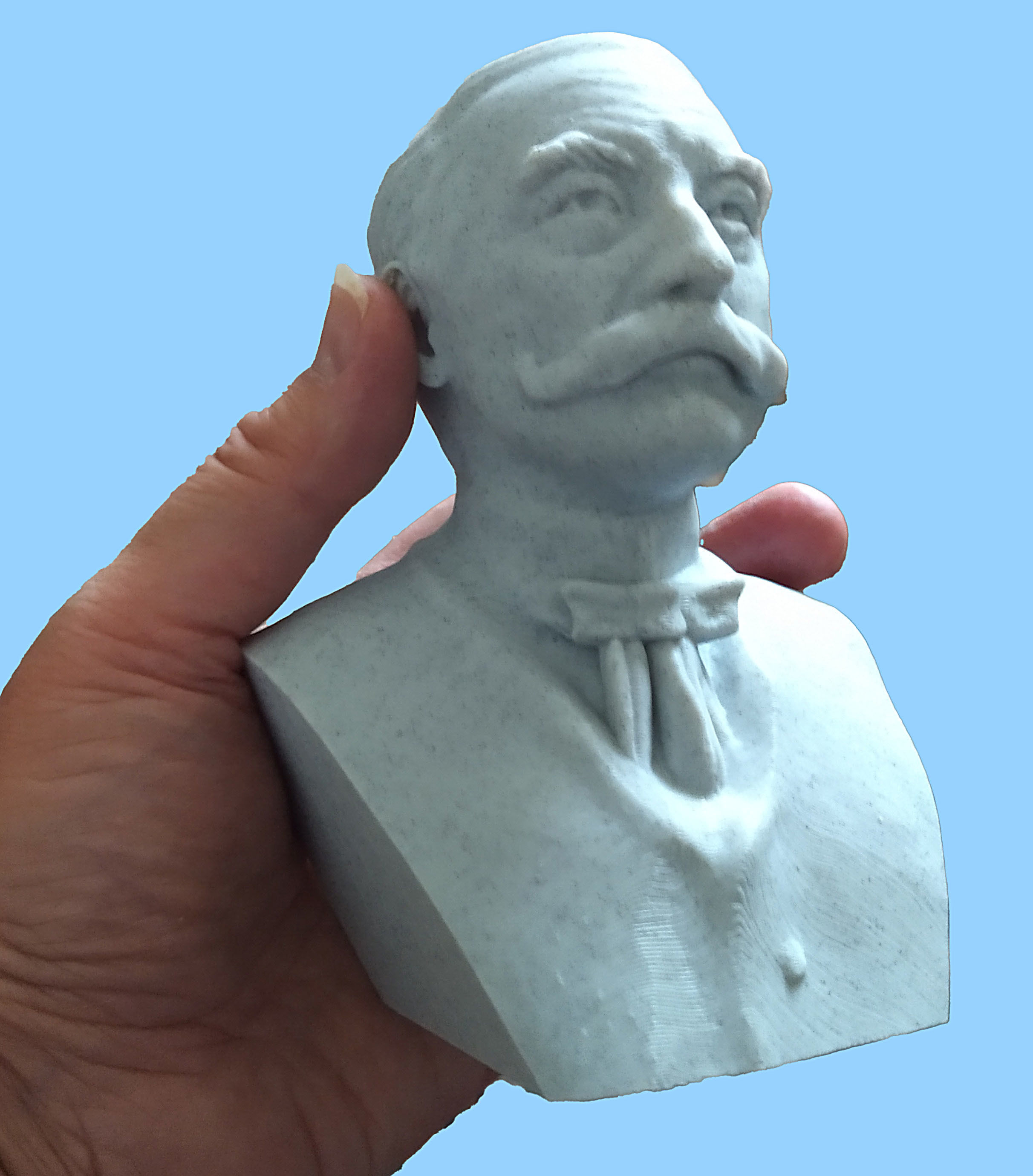 Thomas Hardy 3D print model_1
