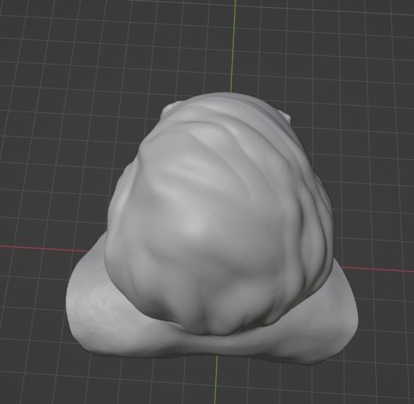 Thomas Hardy 3D print model_21