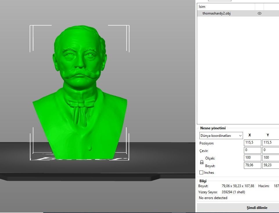 Thomas Hardy 3D print model_13