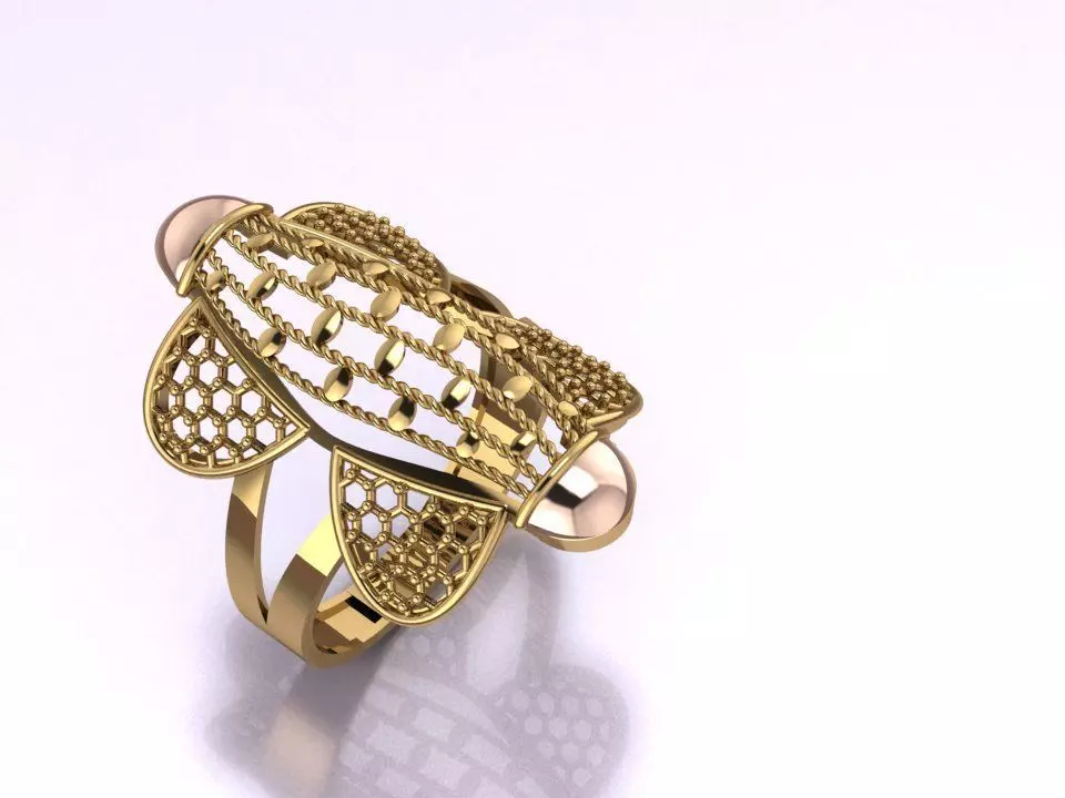 RING B202 3D print model_0