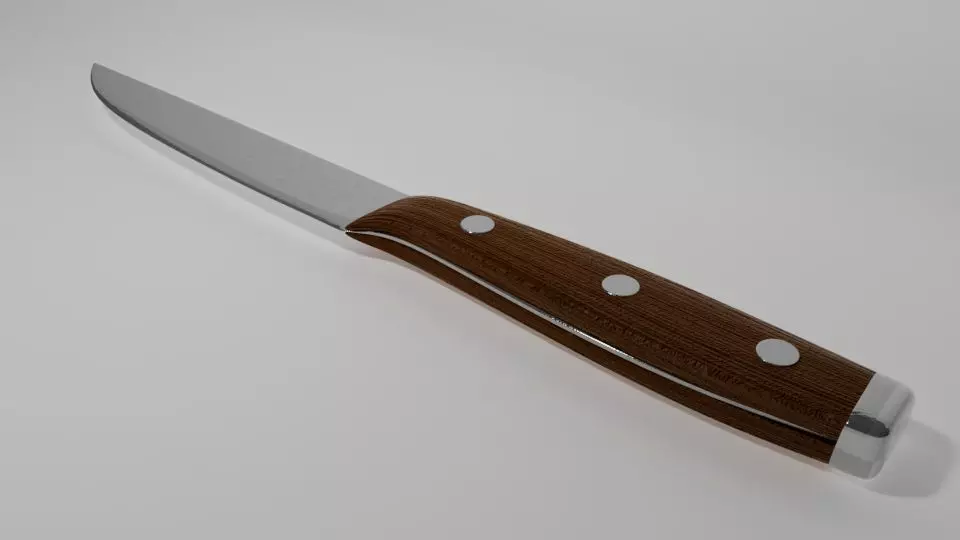 Knife with wooden handle 3D model_0