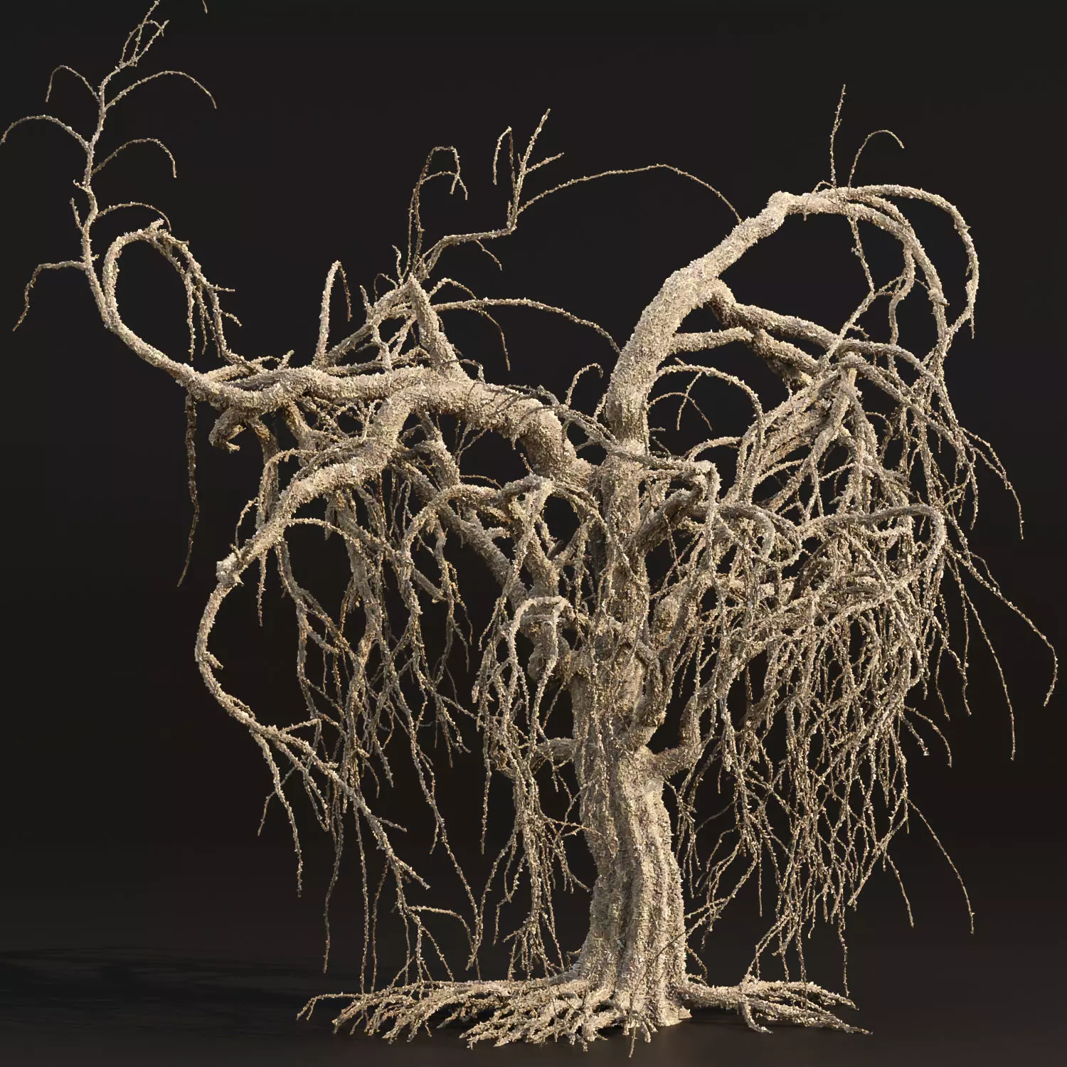 Dead weeping tree vol 188 3D model_0