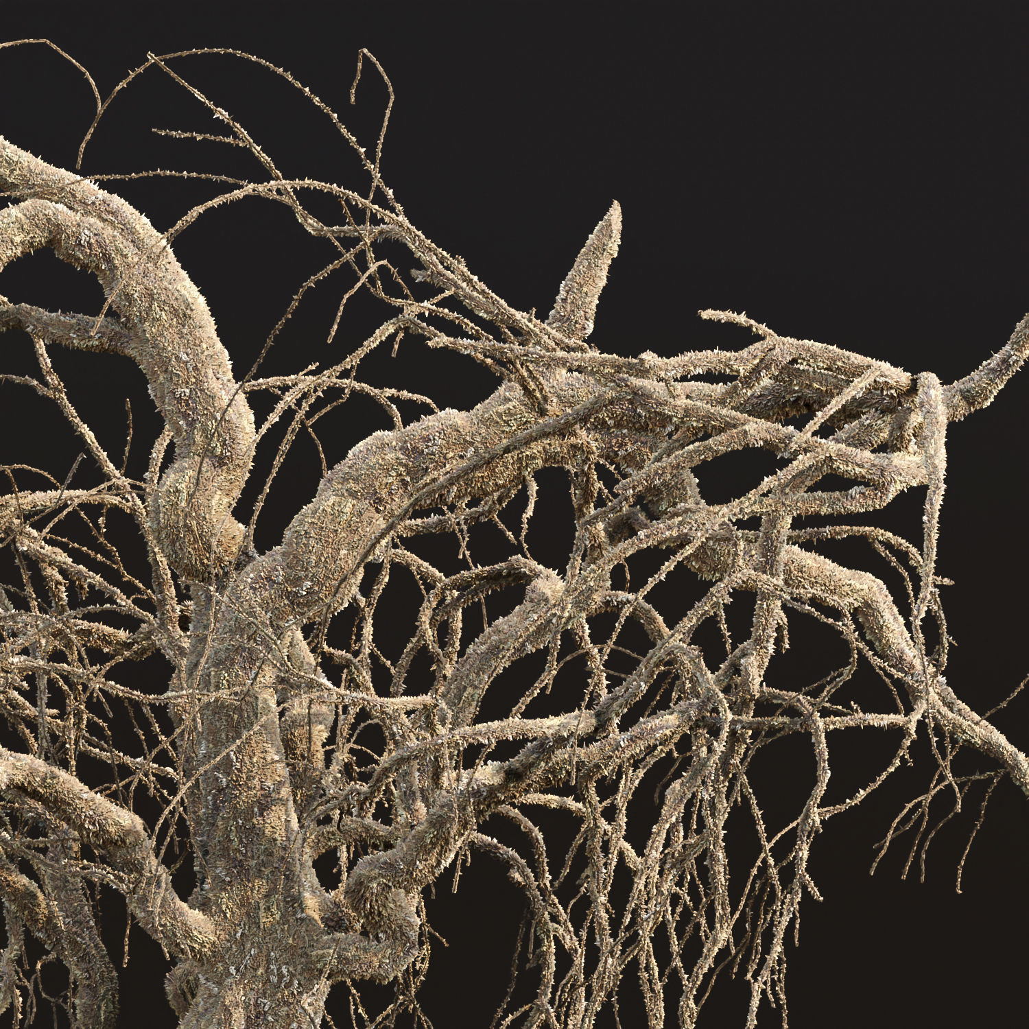 Dead weeping tree vol 188 3D model_1