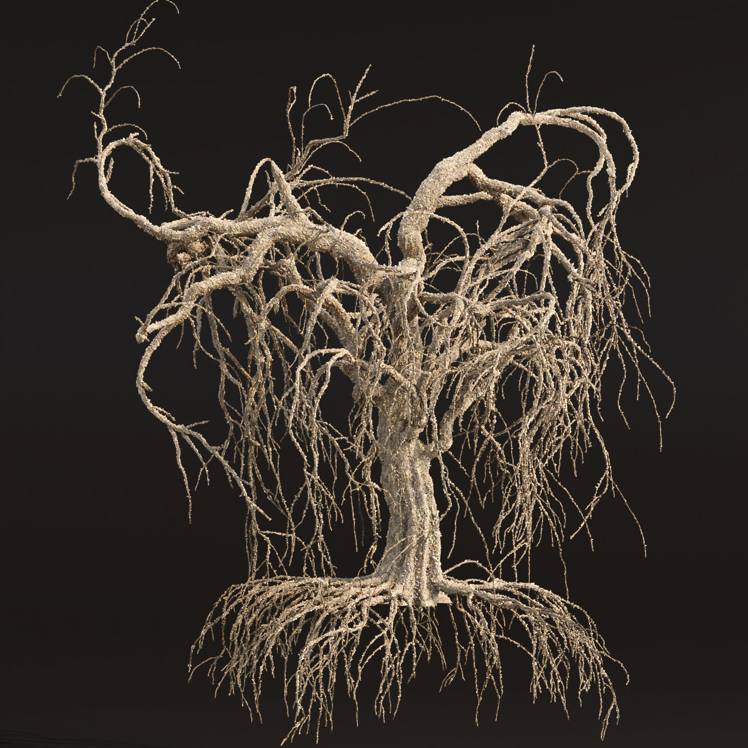 Dead weeping tree vol 188 3D model_2