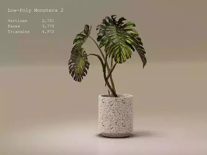 Low-Poly Monstera 2 plant in pot
