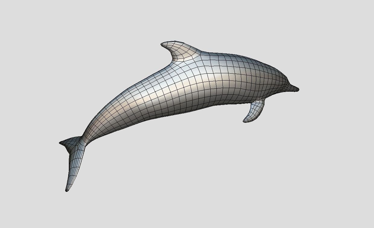 Pantropical Spotted Dolphin Animated Low-poly 3D model_9