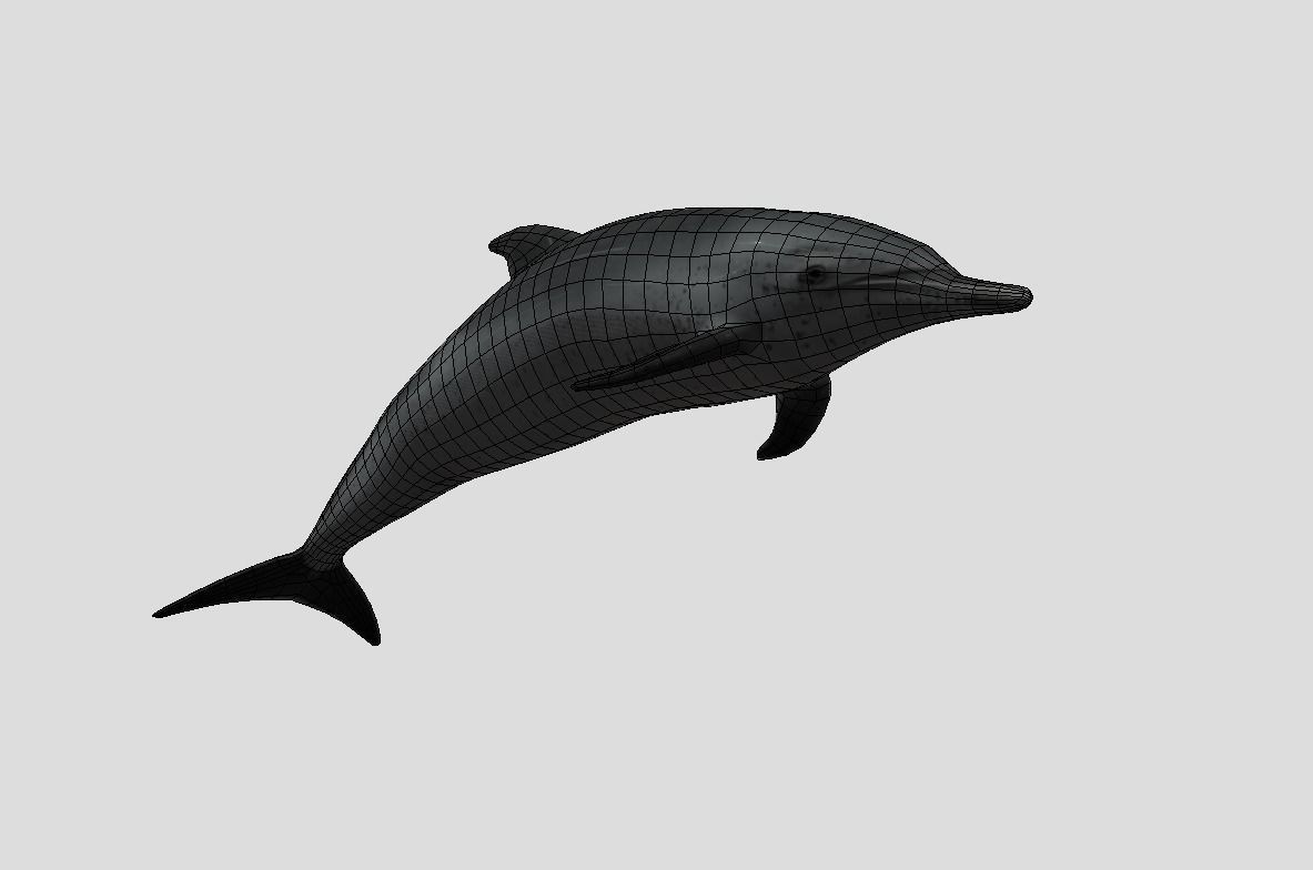 Pantropical Spotted Dolphin Animated Low-poly 3D model_3