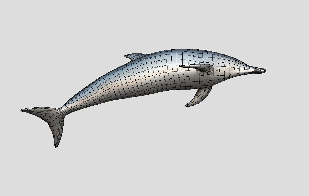 Pantropical Spotted Dolphin Animated Low-poly 3D model_10