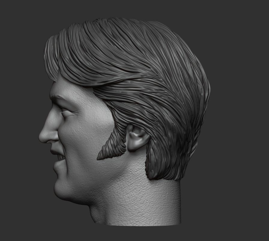 Elvis Presley Sixth scale head 3D printable  3D print model_3