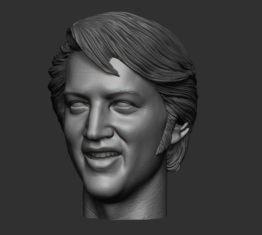Elvis Presley Sixth scale head 3D printable  3D print model_2