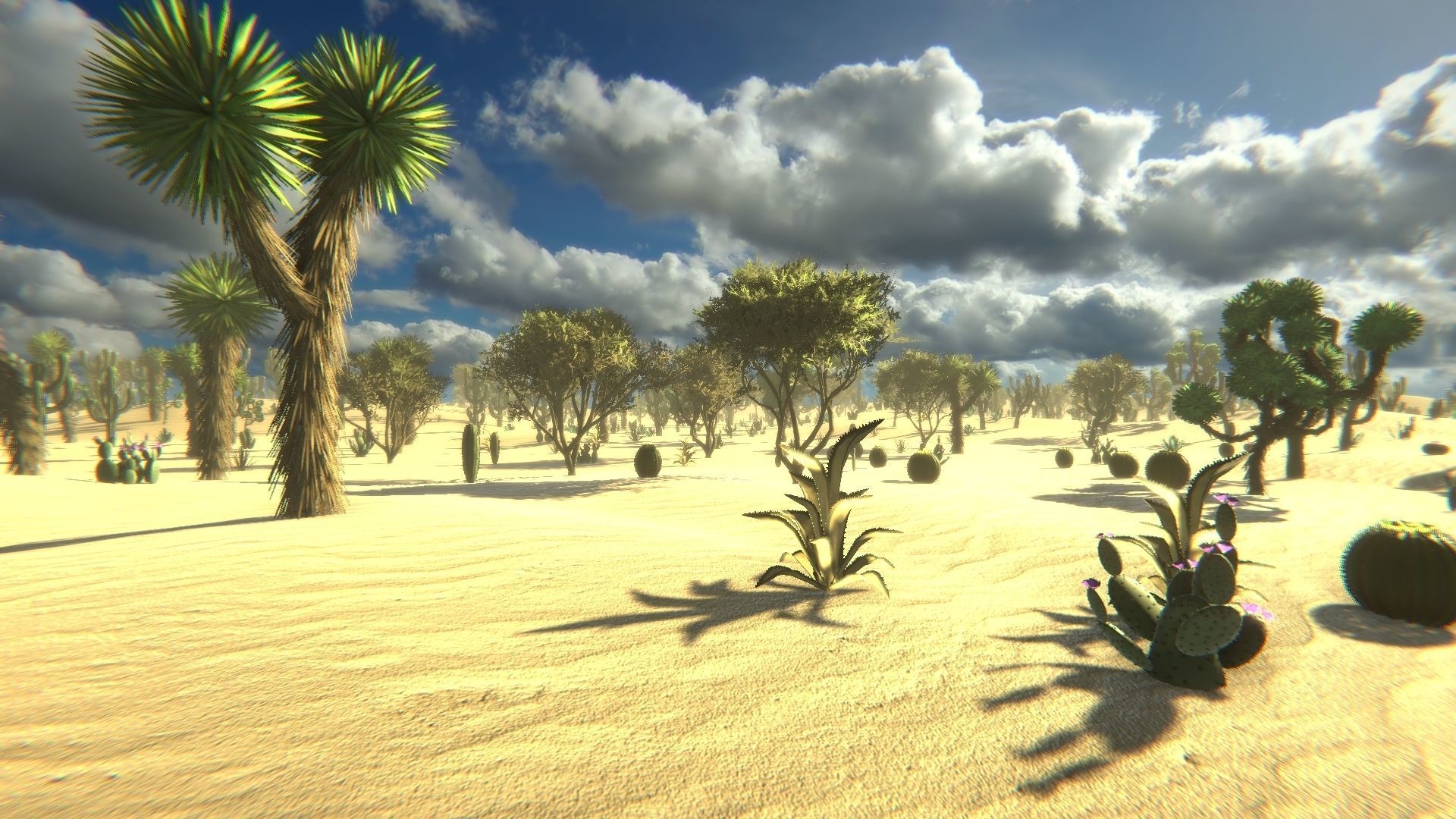 Desert Vegetation Low-poly 3D model_8