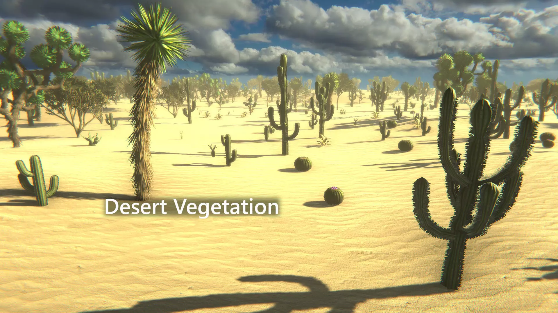 Desert Vegetation Low-poly 3D model_0