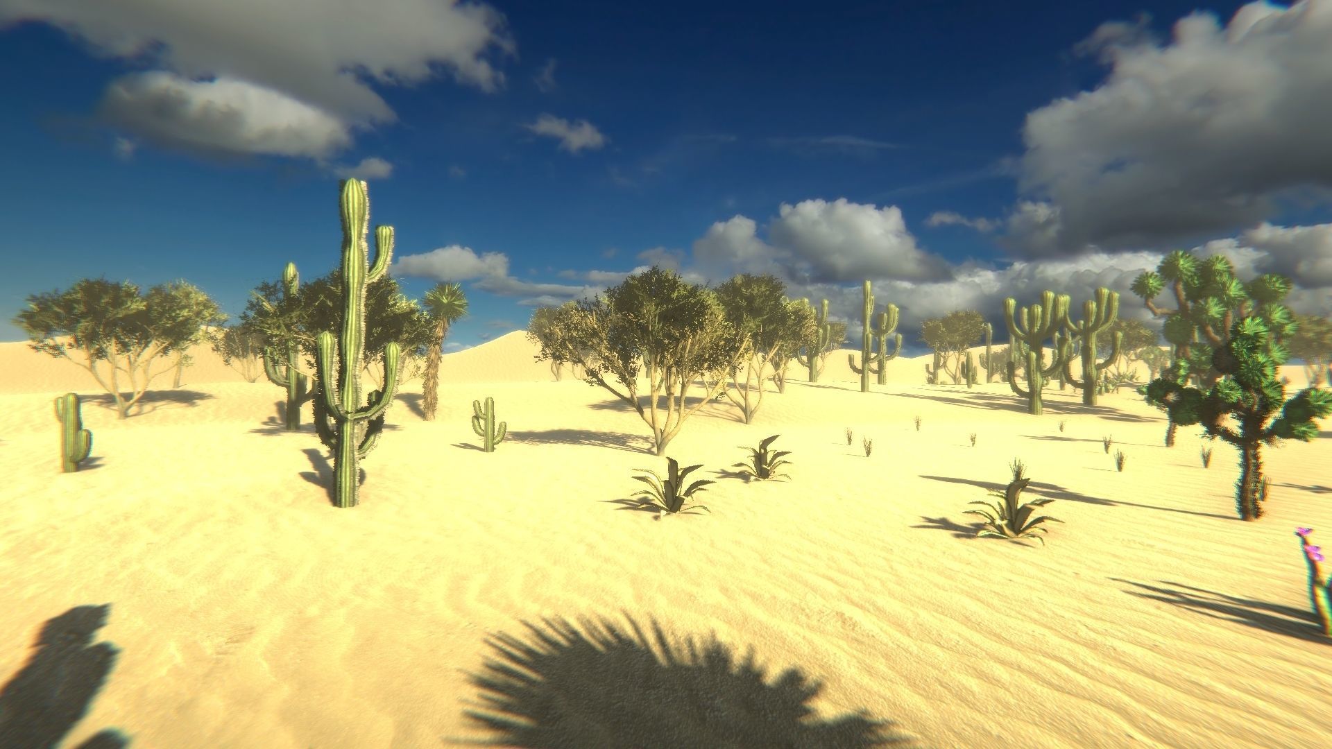 Desert Vegetation Low-poly 3D model_12