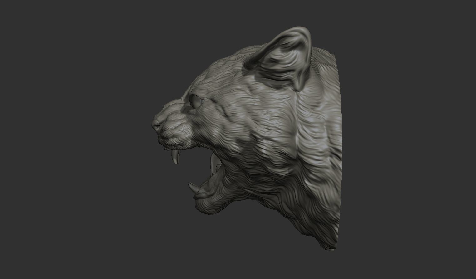Cat grin head 3D print model_20