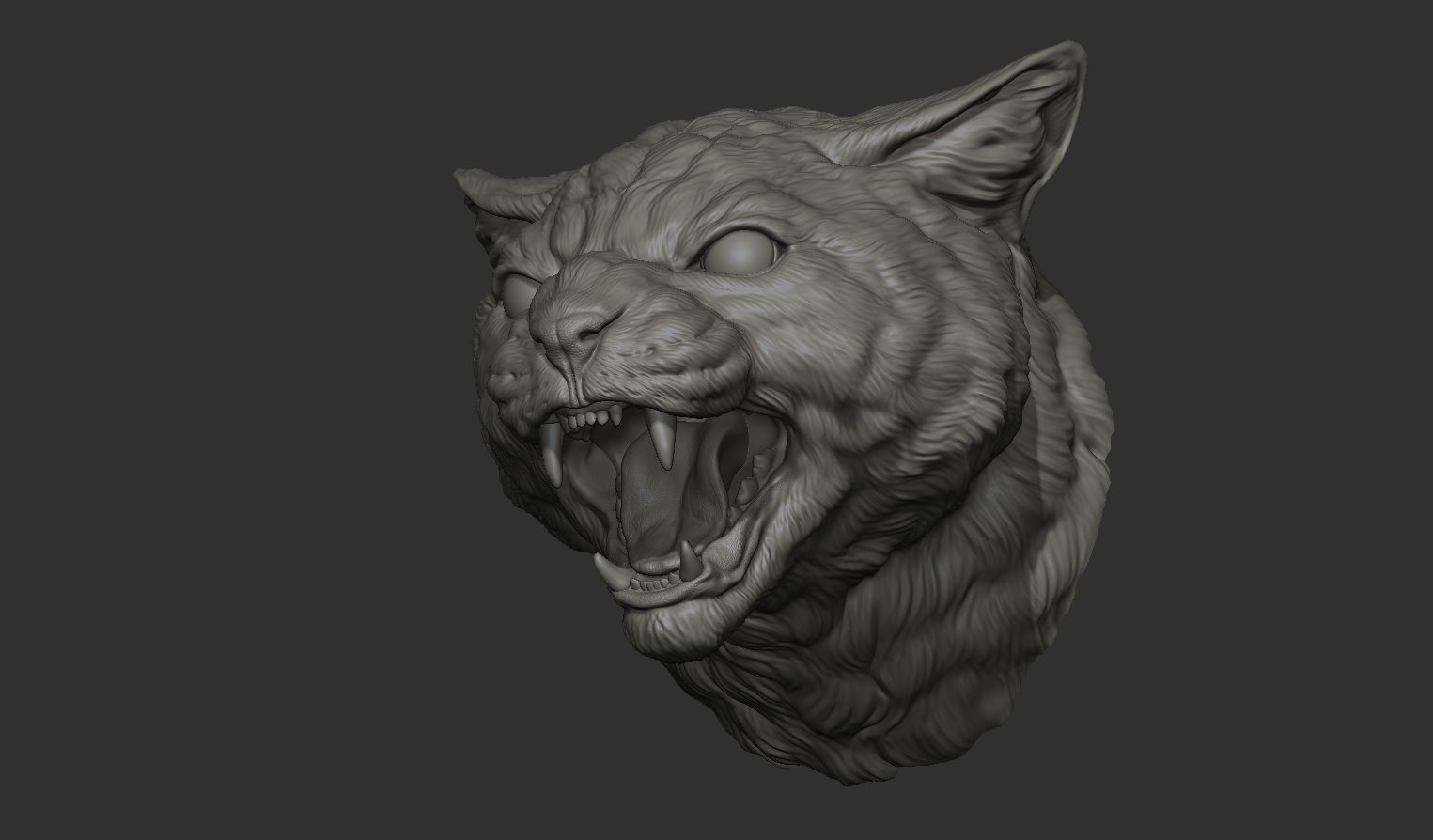 Cat grin head 3D print model_21