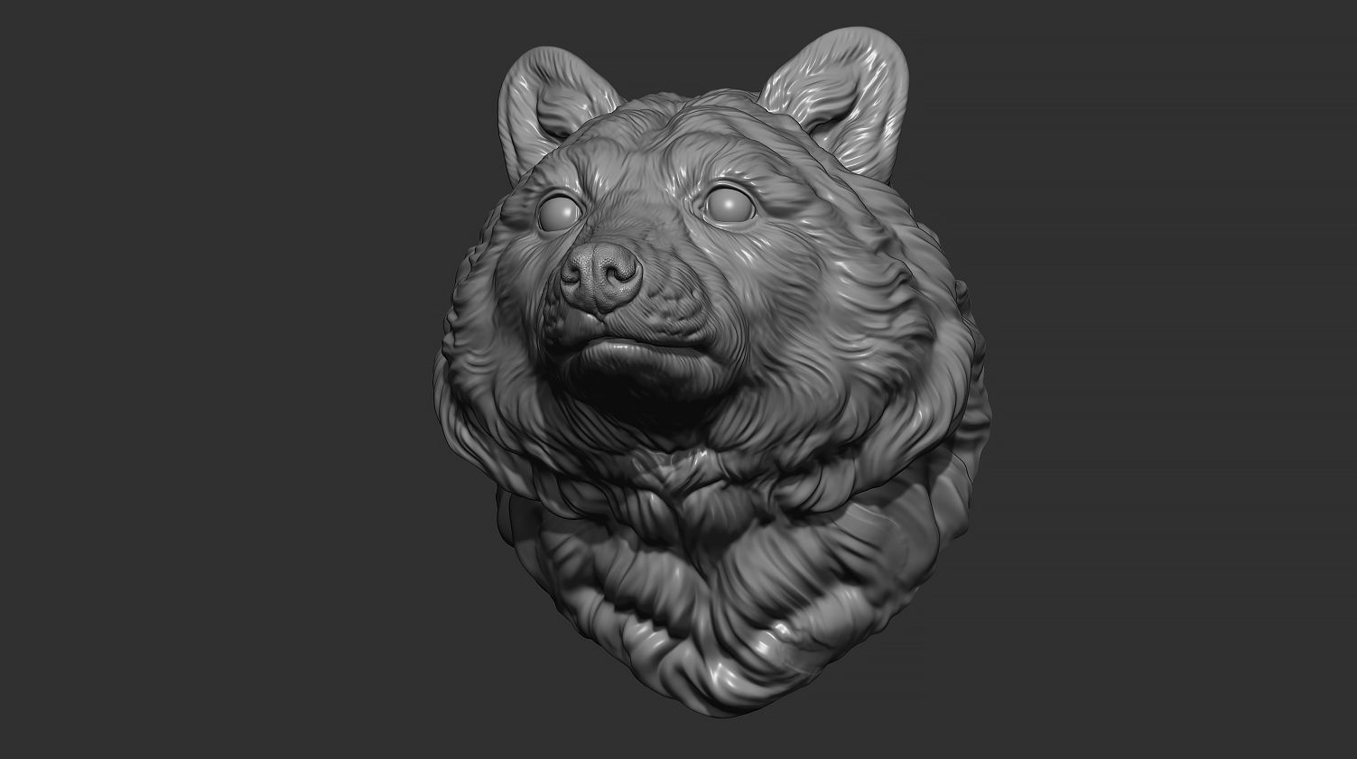 Raccoon head 3D print model_10