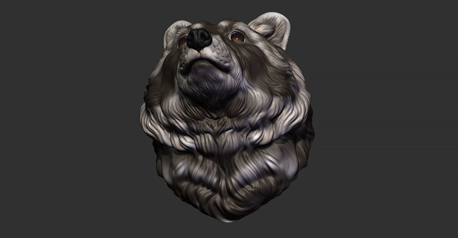 Raccoon head 3D print model_14