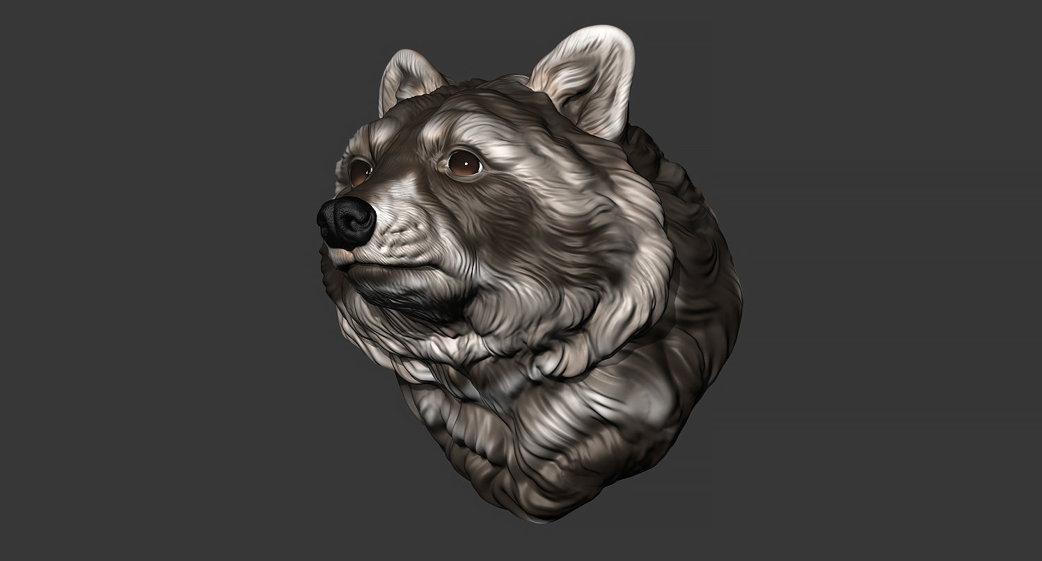 Raccoon head 3D print model_13