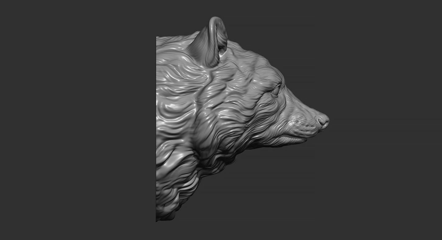 Raccoon head 3D print model_7