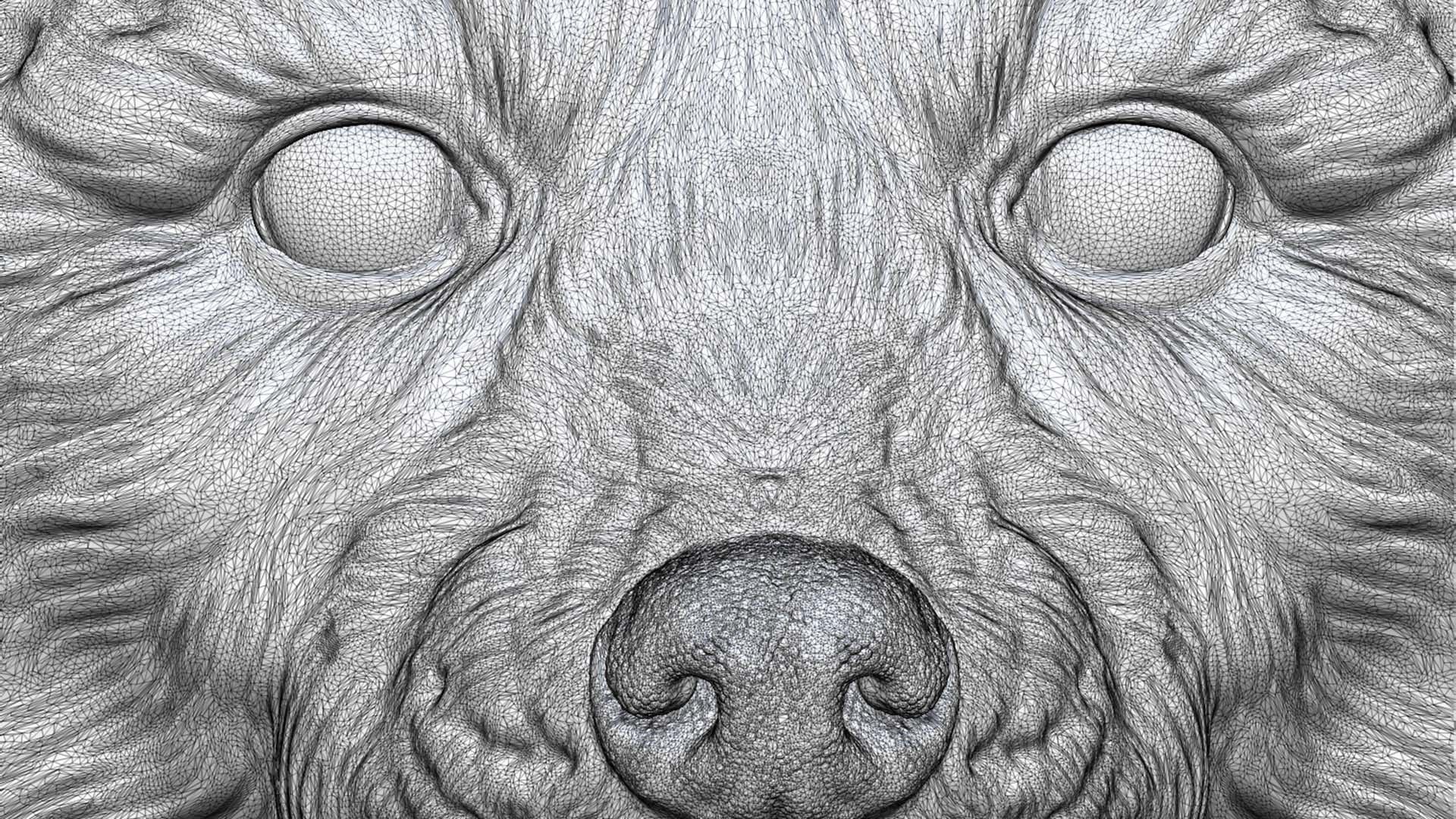 Raccoon head 3D print model_19