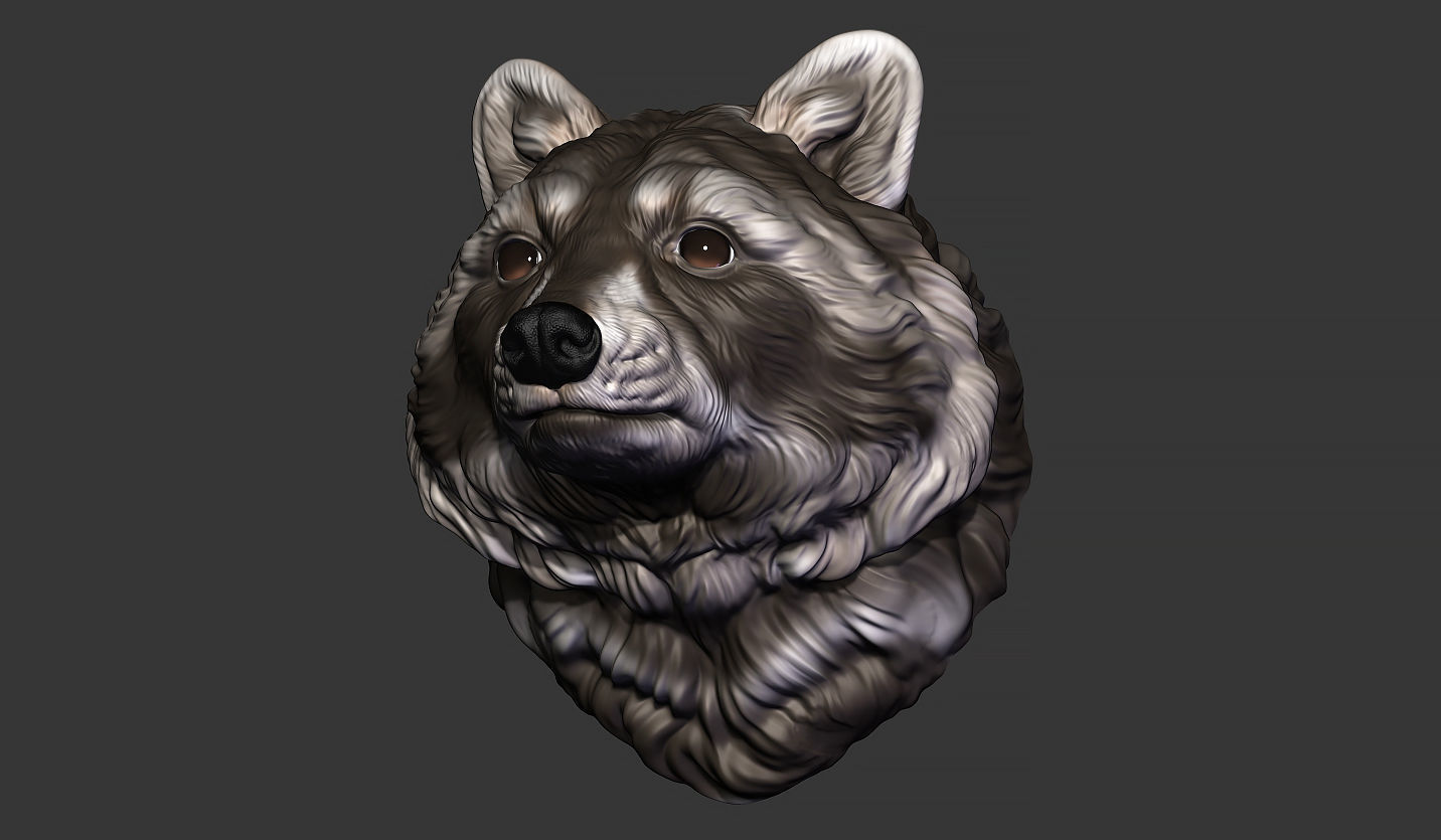 Raccoon head 3D print model_16
