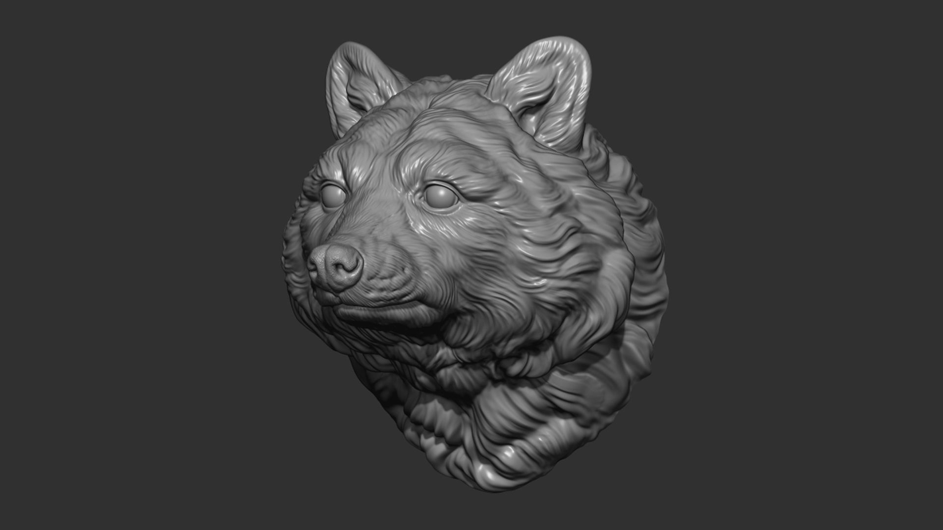 Raccoon head 3D print model_8