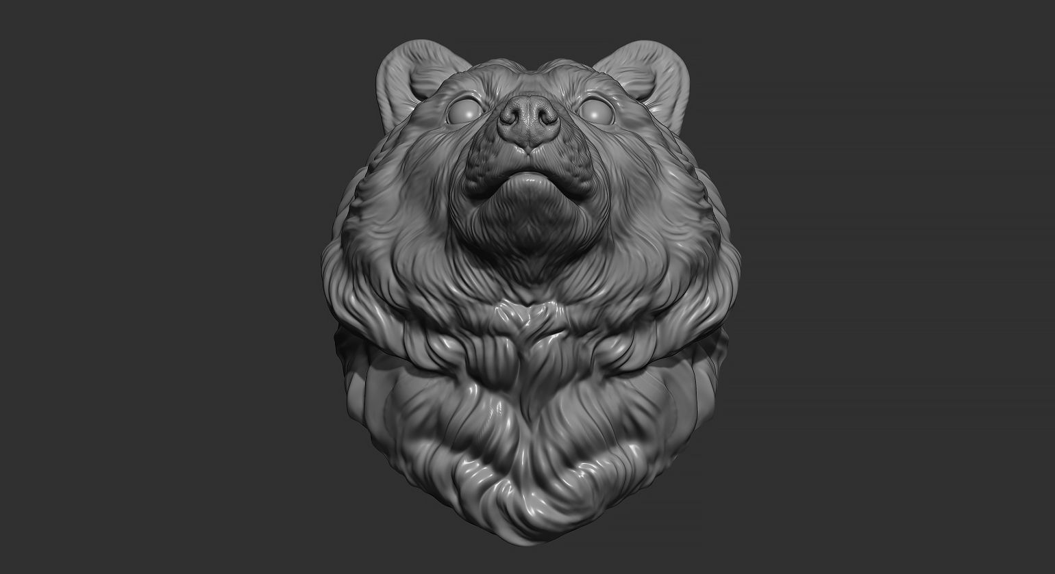 Raccoon head 3D print model_6