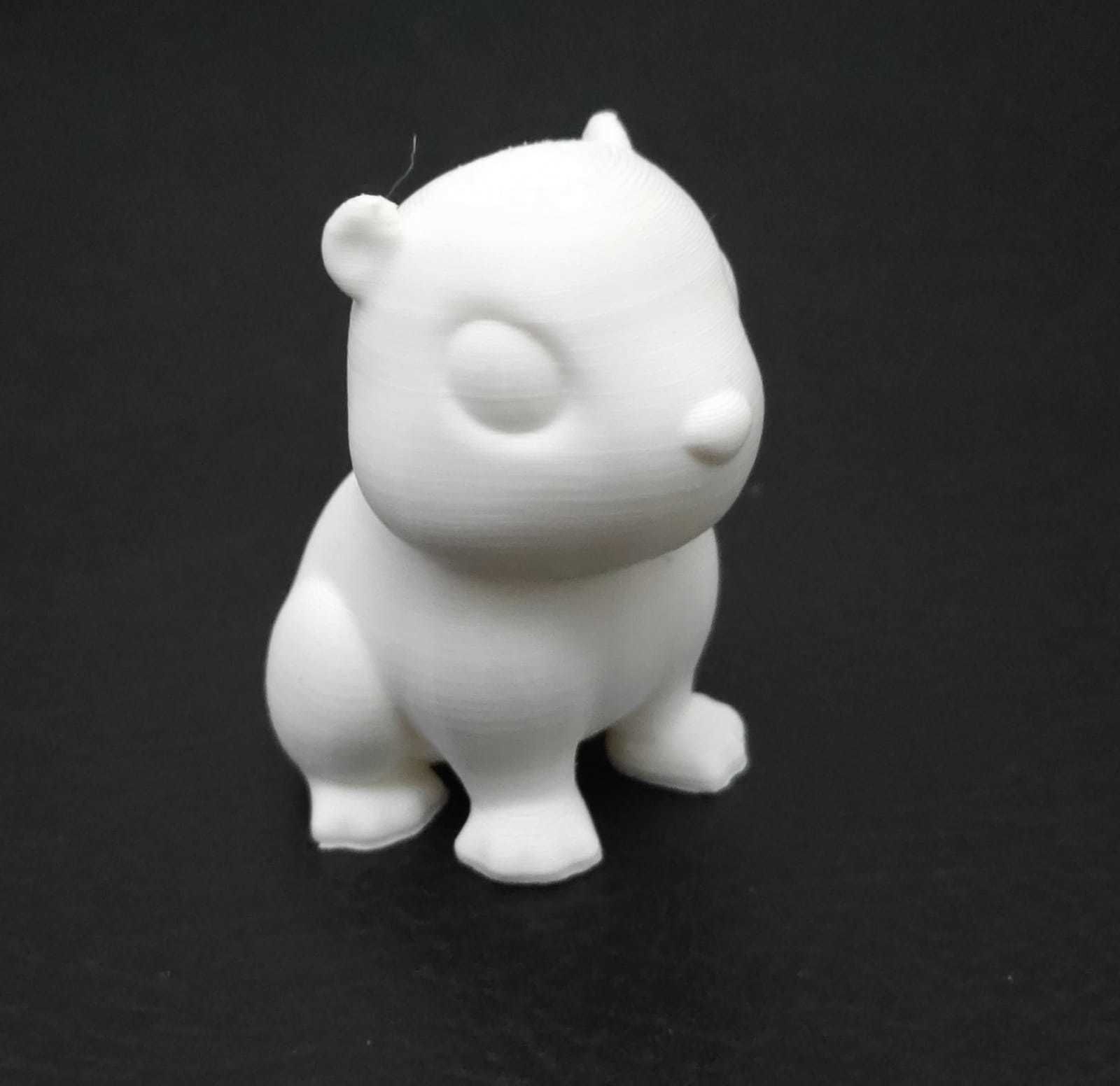 Marmot groundhog 3D print model_10