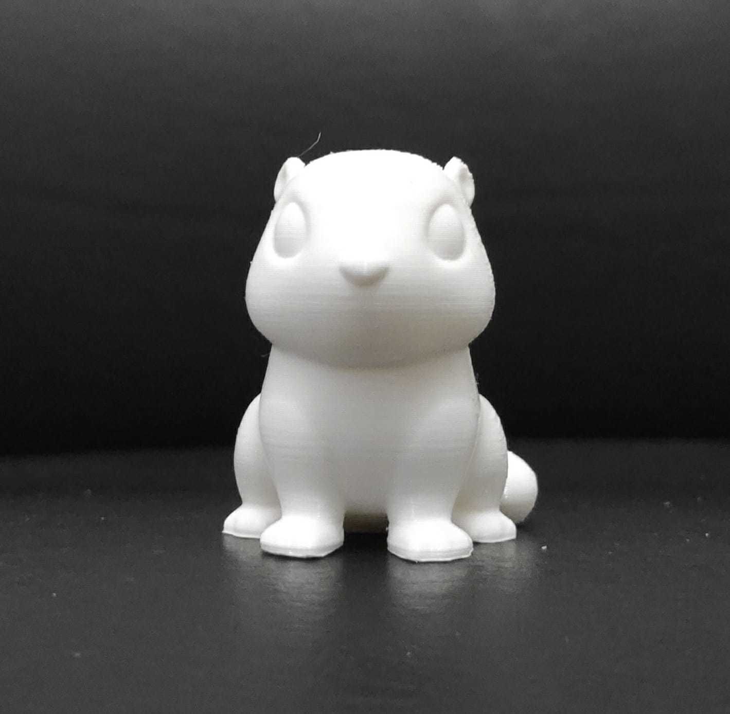 Marmot groundhog 3D print model_4