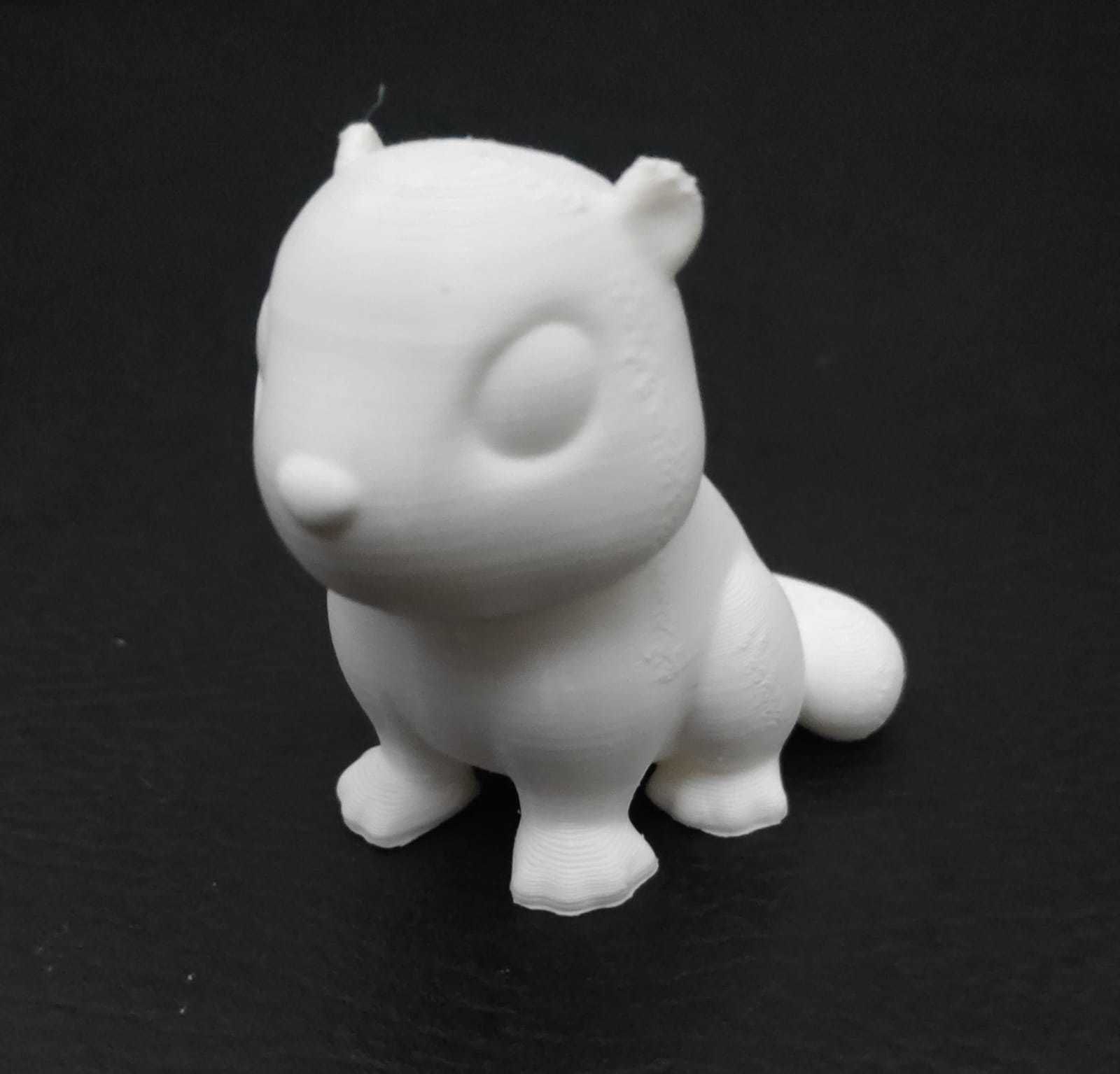 Marmot groundhog 3D print model_5