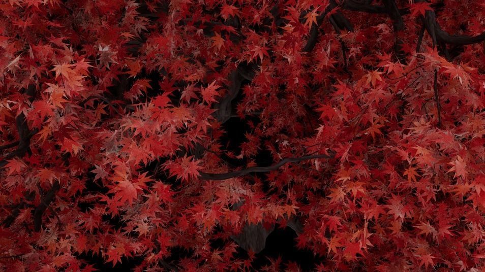 japanese maple Low-poly 3D model_1