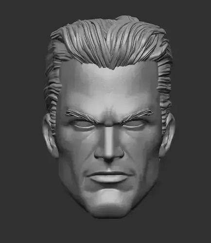 Aquaman - Headsculpt for Action Figures