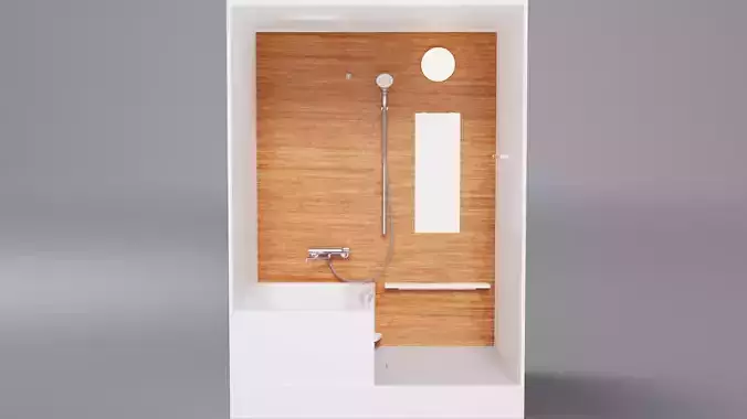 Japanese Bathroom11