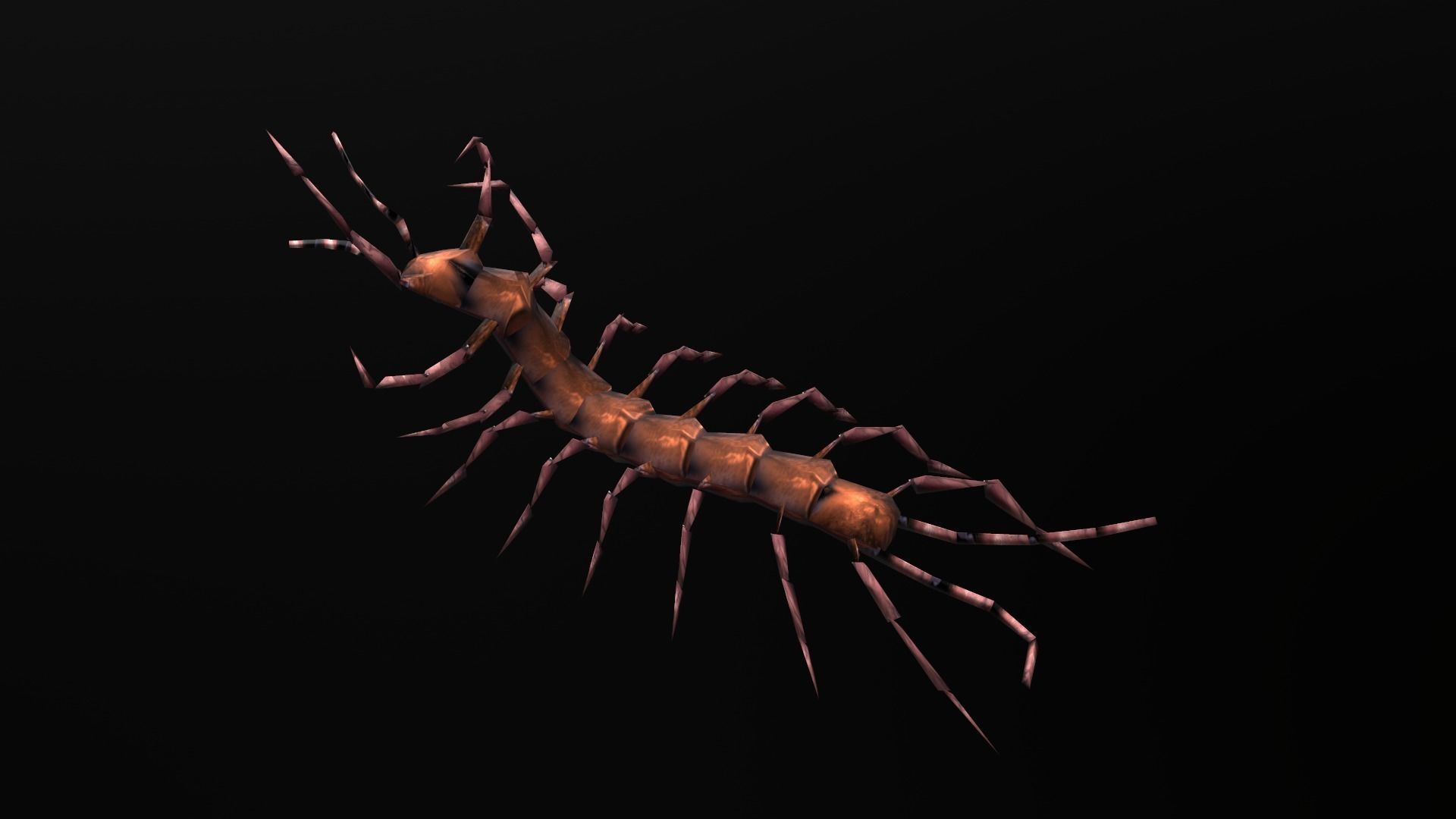 low-poly animated centipede Low-poly 3D model_6