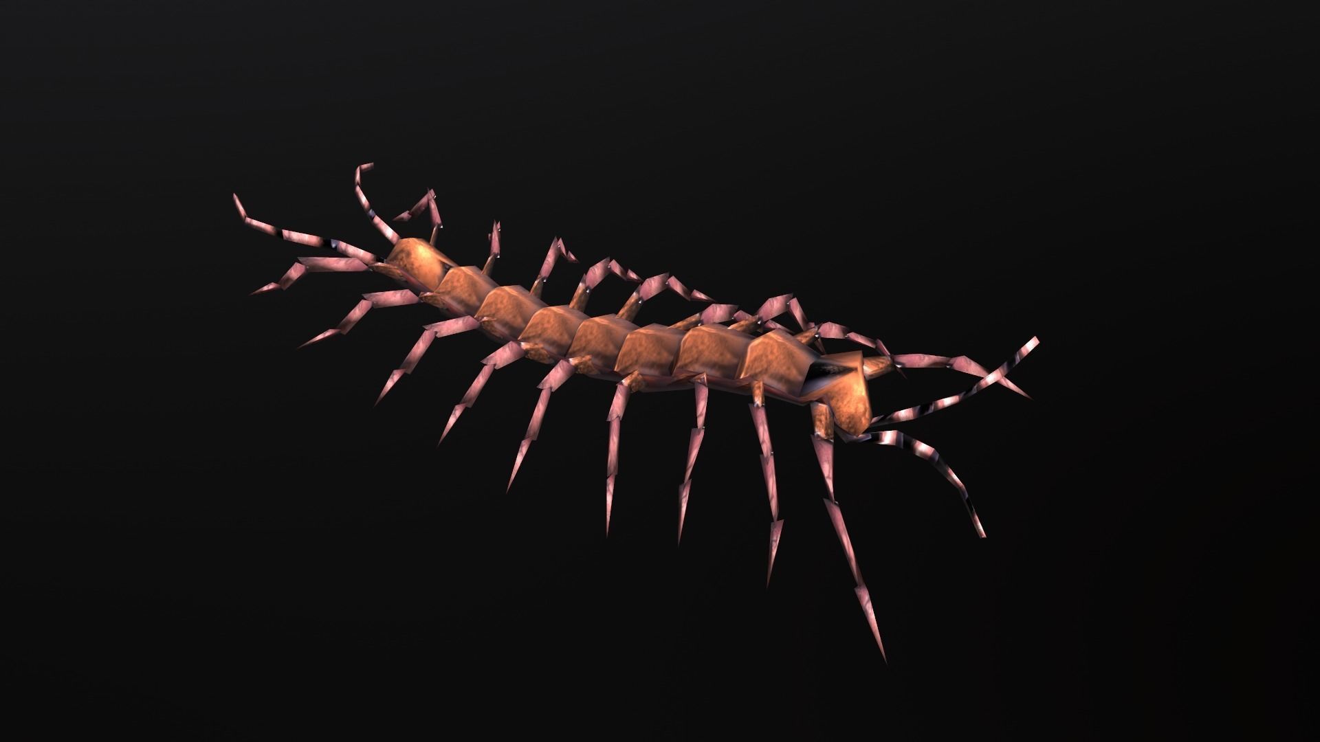 low-poly animated centipede Low-poly 3D model_9