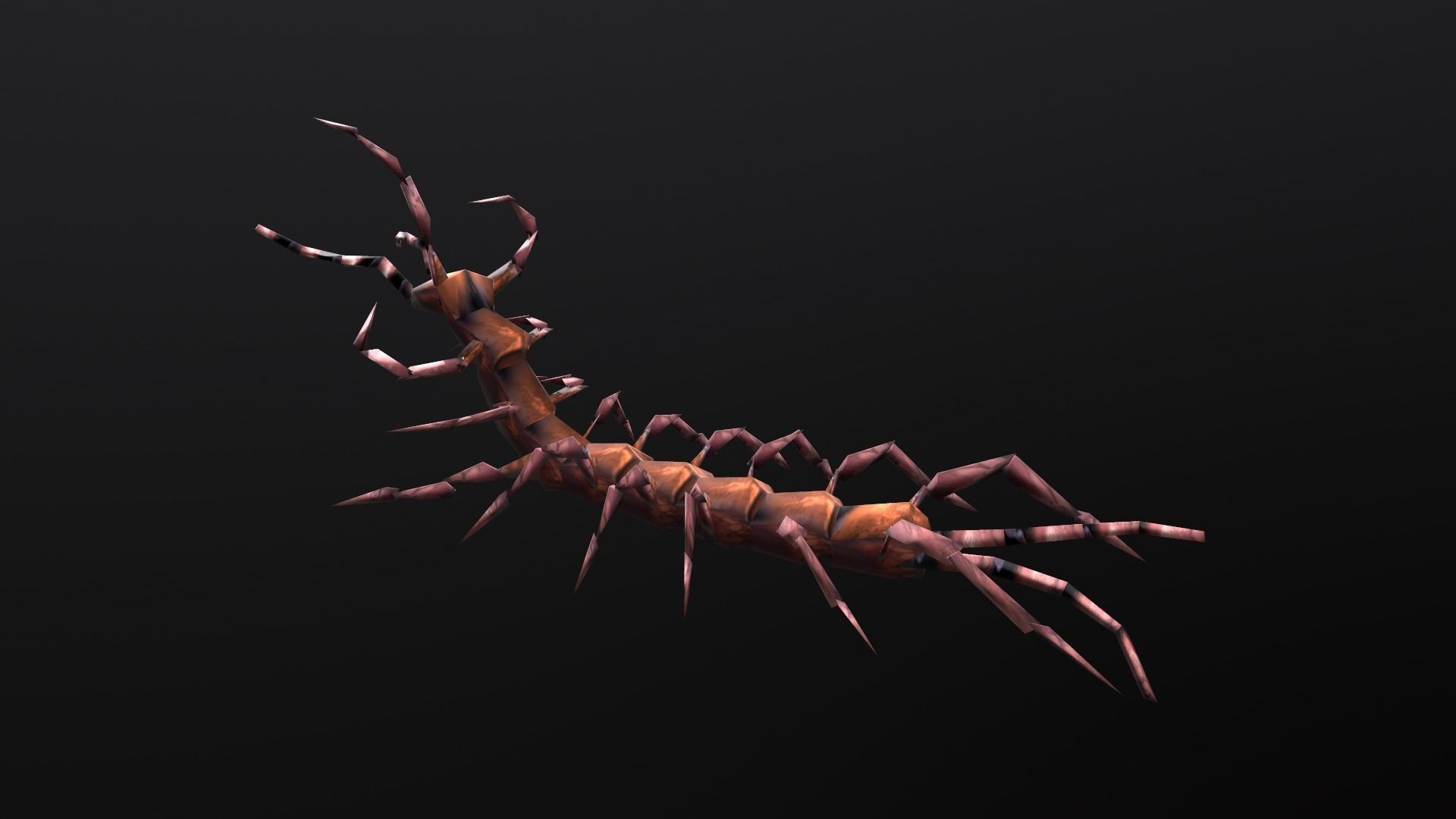 low-poly animated centipede Low-poly 3D model_7