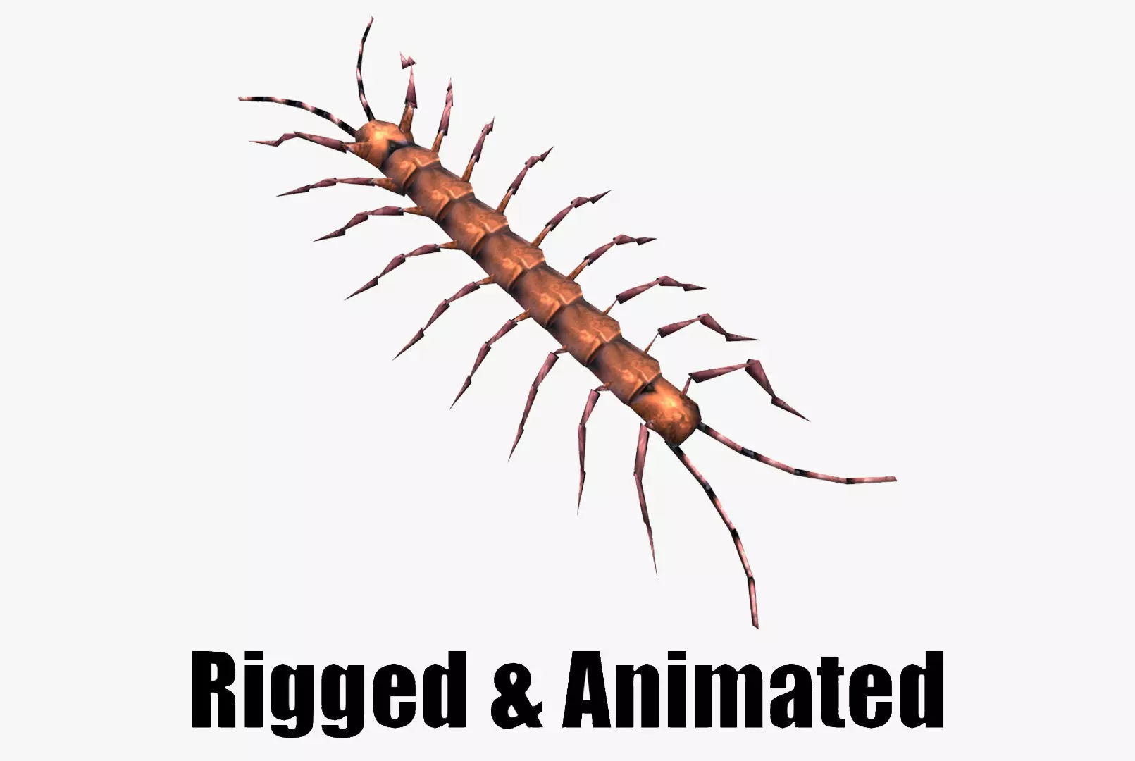 low-poly animated centipede Low-poly 3D model_0
