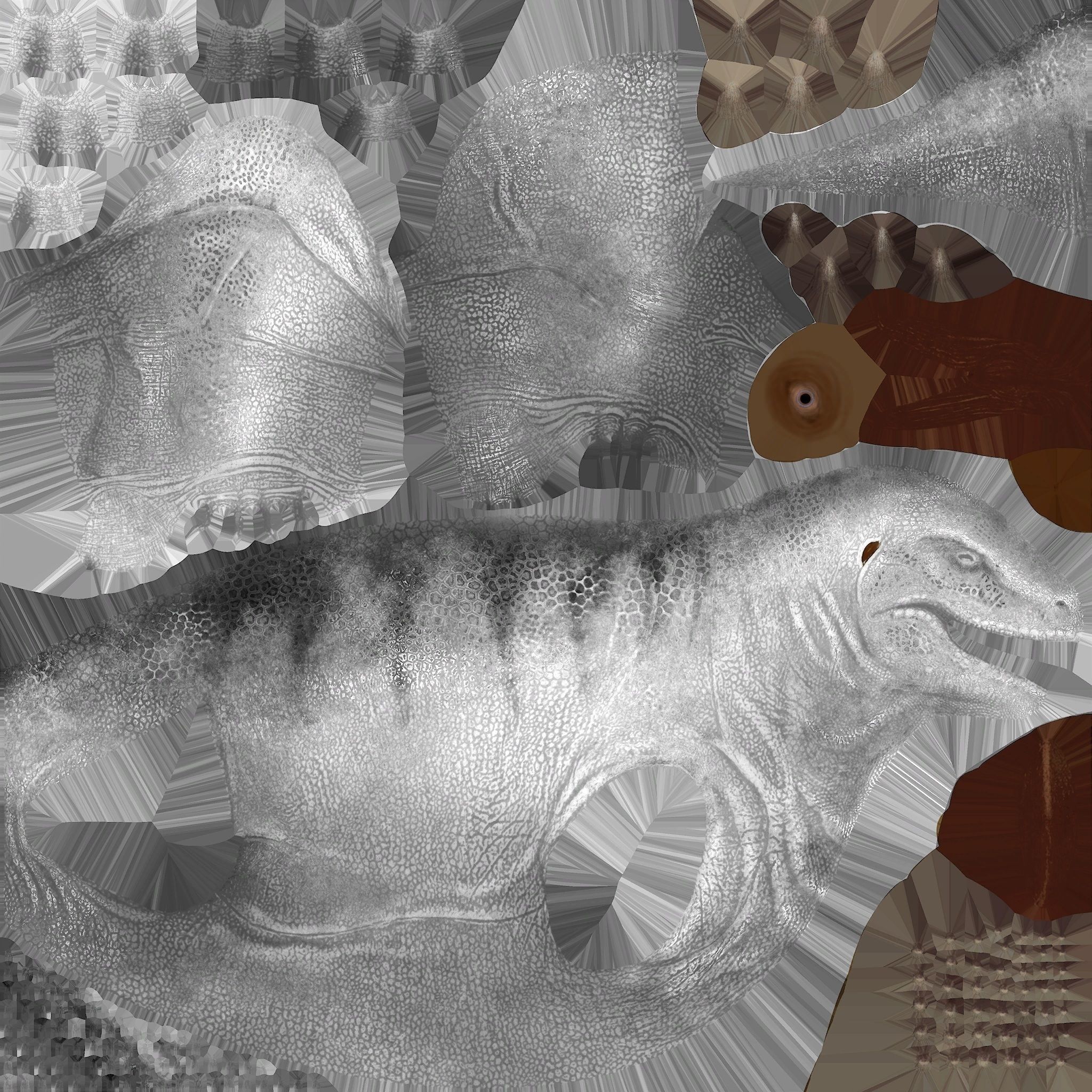  Komodo dragon 3D model_3