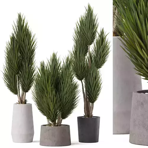 Plants collection 899 3D model