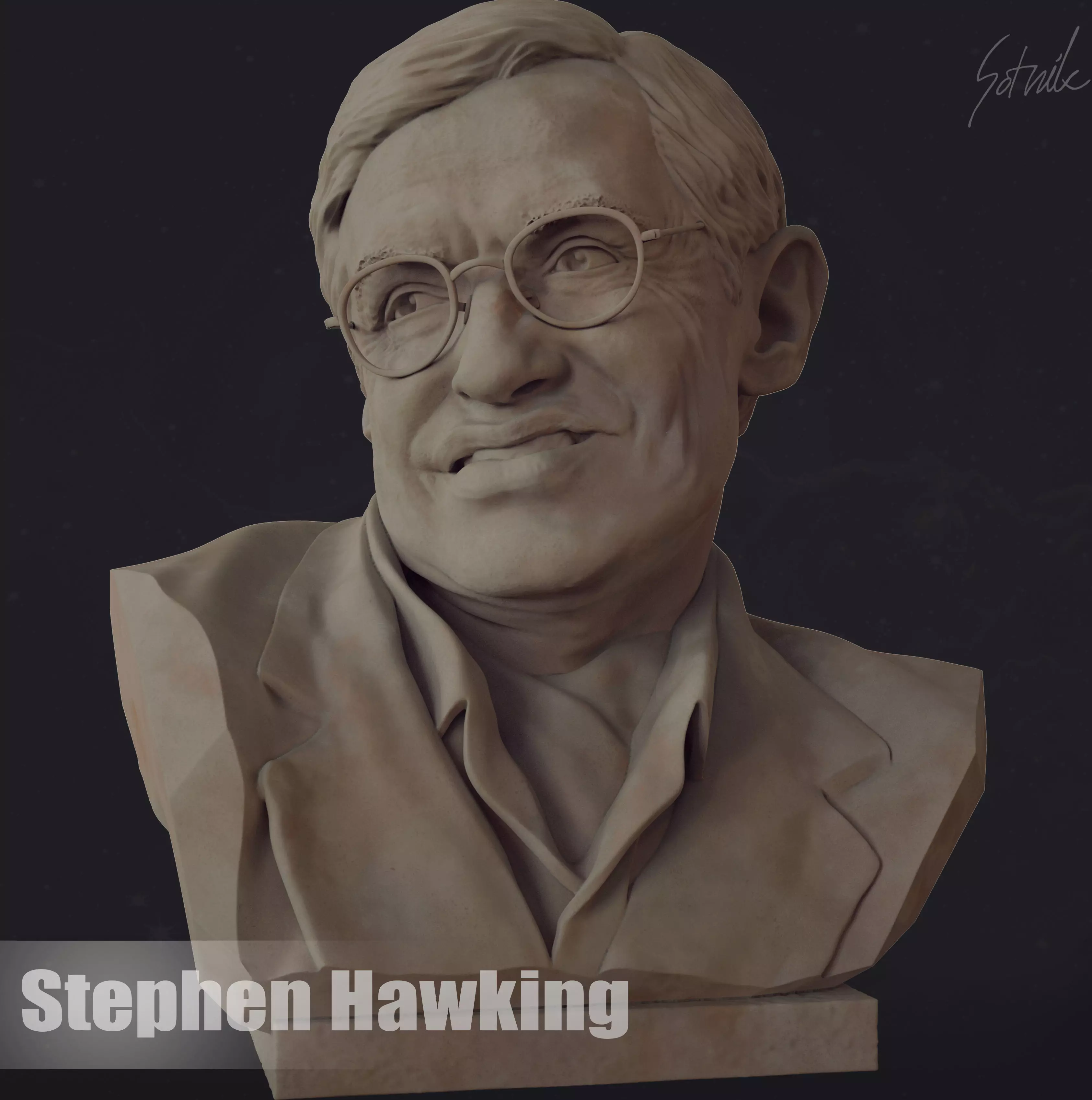 Stephen Hawking 3D print model_0