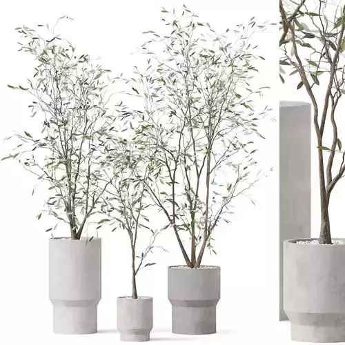 Plants collection 900 3D model