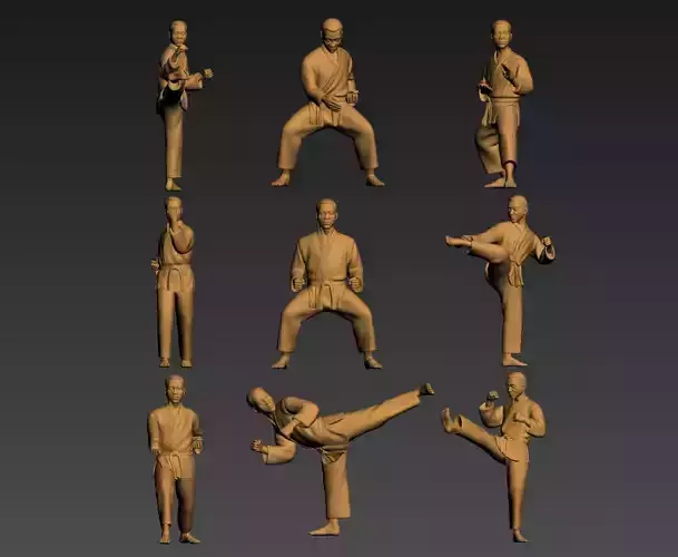 Taekwondo Posture Martial Arts Sculpture 3D print model