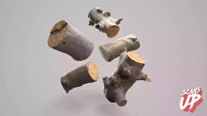 Silver Logs Pack  01- Stonelake3D