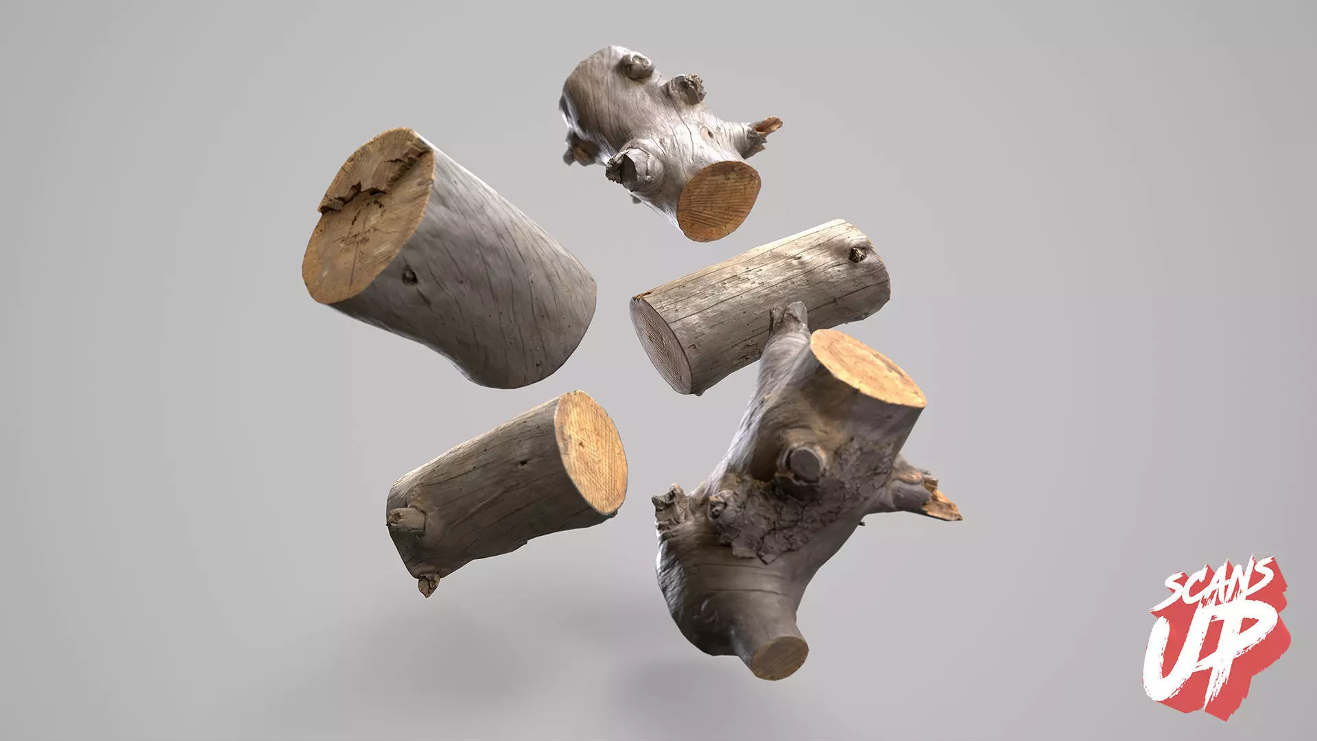 Silver Logs Pack 01- Stonelake3D Low-poly 3D model_0