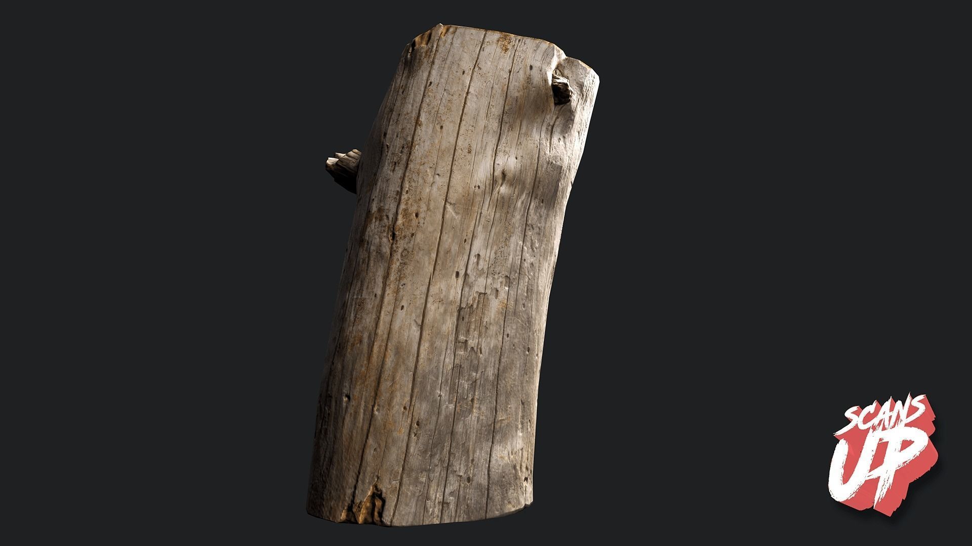 Silver Logs Pack 01- Stonelake3D Low-poly 3D model_4